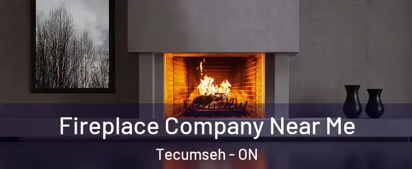  Fireplace Company Near Me Tecumseh - ON