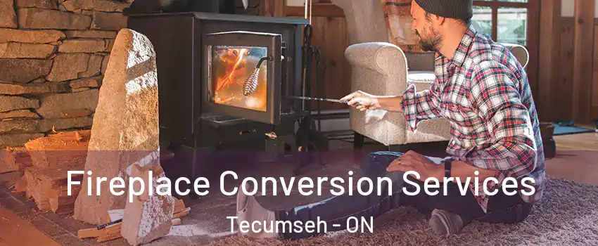  Fireplace Conversion Services Tecumseh - ON