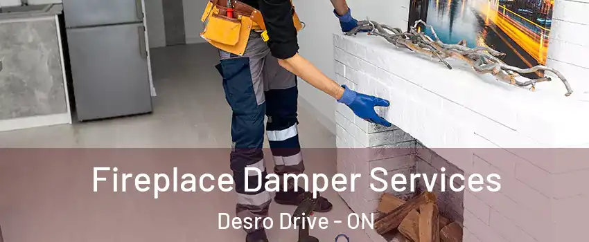  Fireplace Damper Services Desro Drive - ON