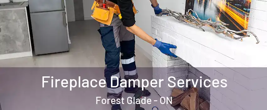 Fireplace Damper Services Forest Glade - ON