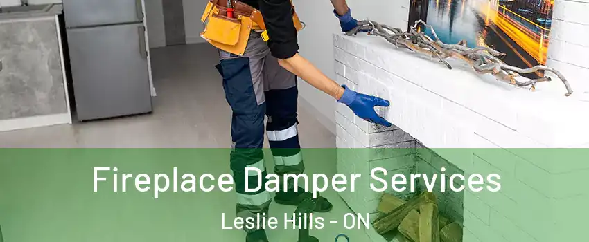  Fireplace Damper Services Leslie Hills - ON