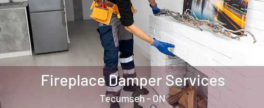  Fireplace Damper Services Tecumseh - ON