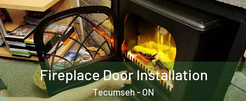  Fireplace Door Installation Tecumseh - ON