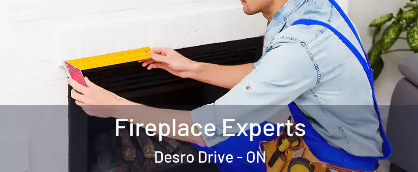  Fireplace Experts Desro Drive - ON