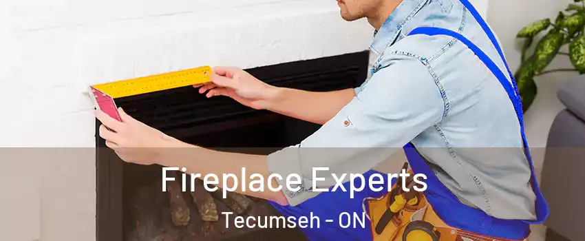  Fireplace Experts Tecumseh - ON