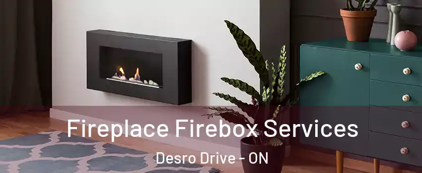  Fireplace Firebox Services Desro Drive - ON