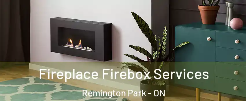  Fireplace Firebox Services Remington Park - ON