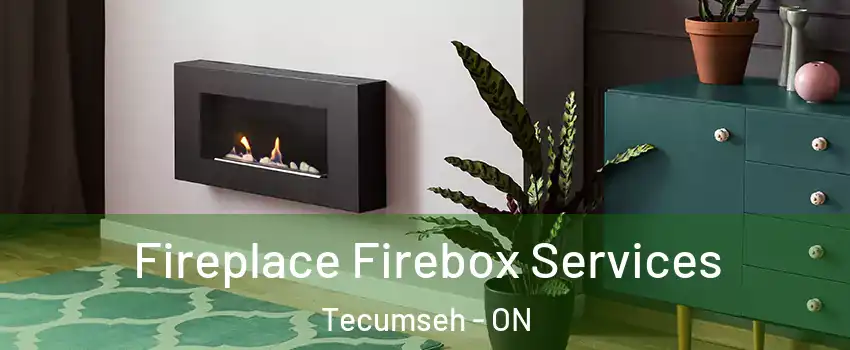  Fireplace Firebox Services Tecumseh - ON