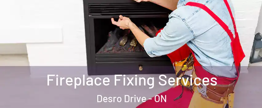  Fireplace Fixing Services Desro Drive - ON