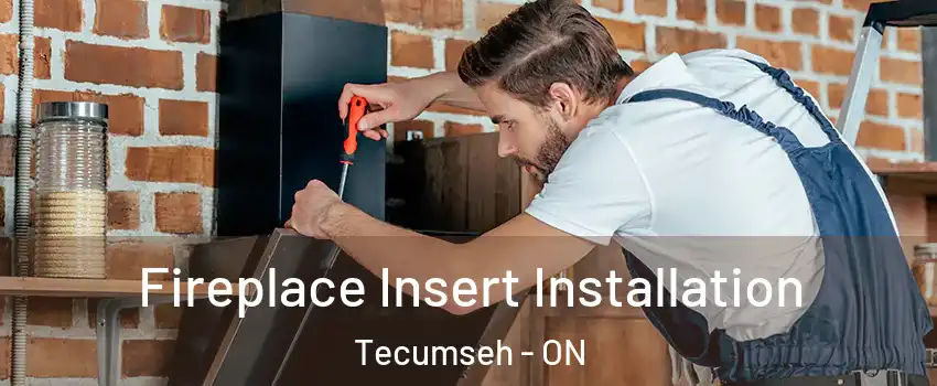  Fireplace Insert Installation Tecumseh - ON