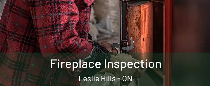  Fireplace Inspection Leslie Hills - ON