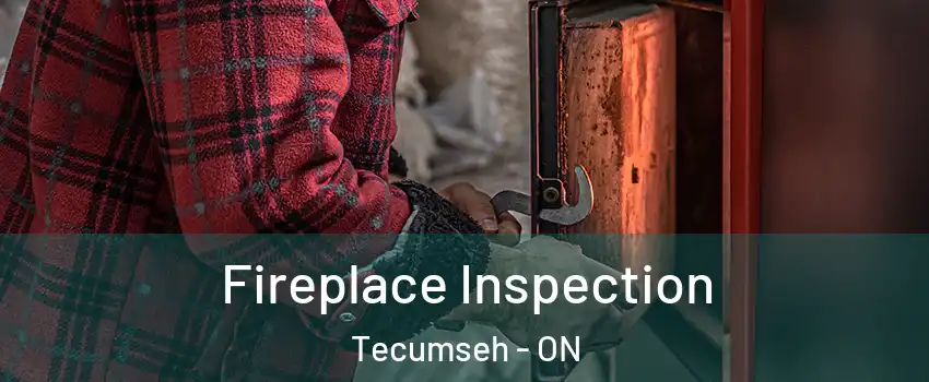  Fireplace Inspection Tecumseh - ON