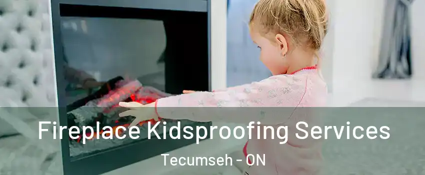  Fireplace Kidsproofing Services Tecumseh - ON
