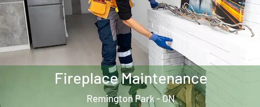  Fireplace Maintenance Remington Park - ON