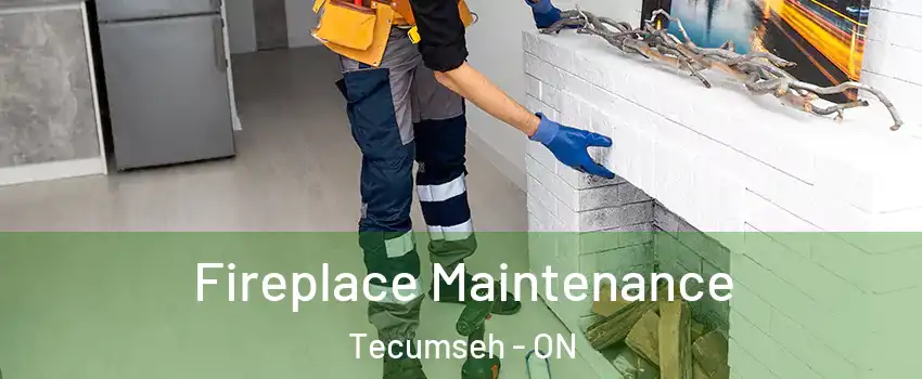  Fireplace Maintenance Tecumseh - ON