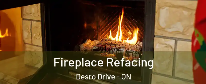  Fireplace Refacing Desro Drive - ON