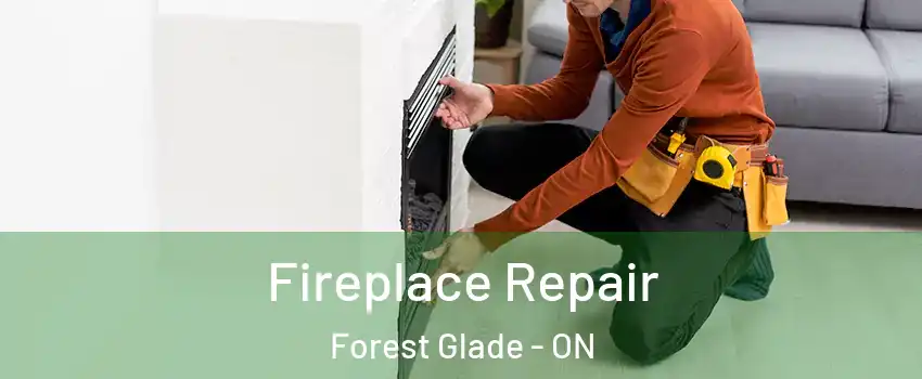  Fireplace Repair Forest Glade - ON