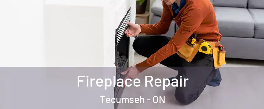  Fireplace Repair Tecumseh - ON
