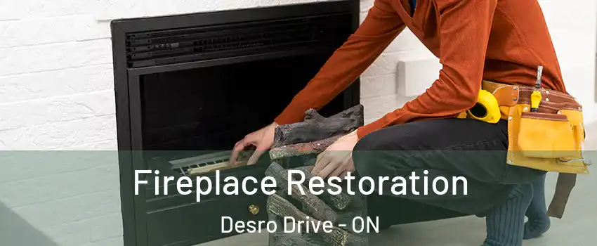  Fireplace Restoration Desro Drive - ON