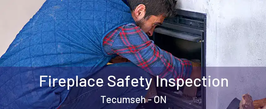  Fireplace Safety Inspection Tecumseh - ON