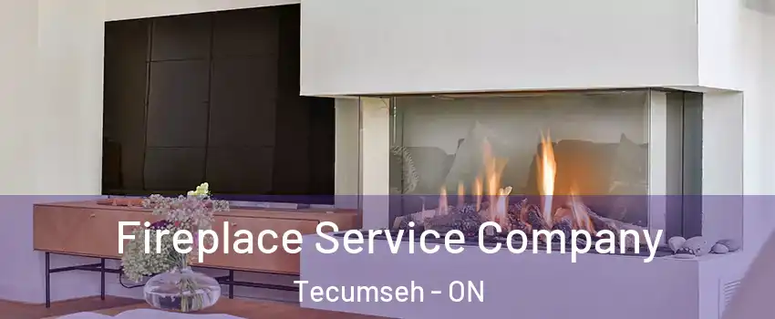  Fireplace Service Company Tecumseh - ON