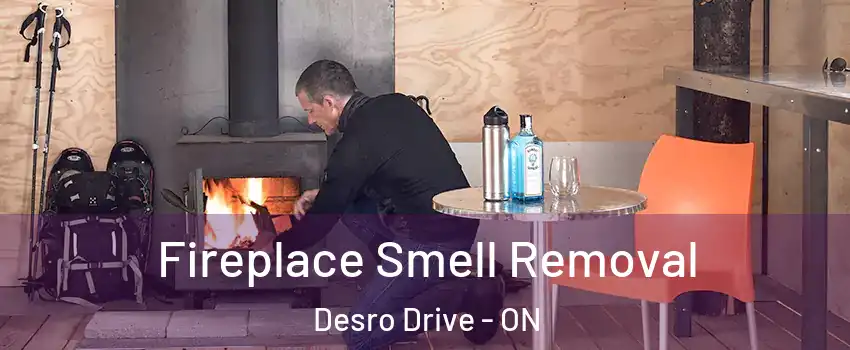  Fireplace Smell Removal Desro Drive - ON