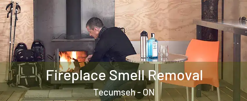  Fireplace Smell Removal Tecumseh - ON