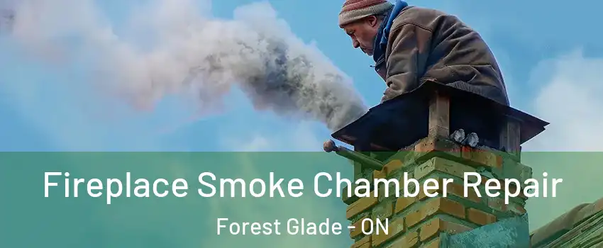  Fireplace Smoke Chamber Repair Forest Glade - ON