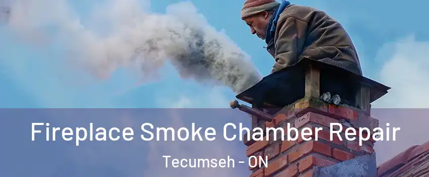  Fireplace Smoke Chamber Repair Tecumseh - ON