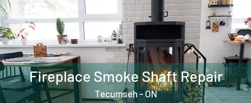  Fireplace Smoke Shaft Repair Tecumseh - ON