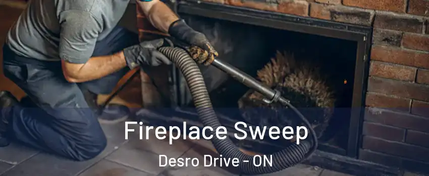  Fireplace Sweep Desro Drive - ON