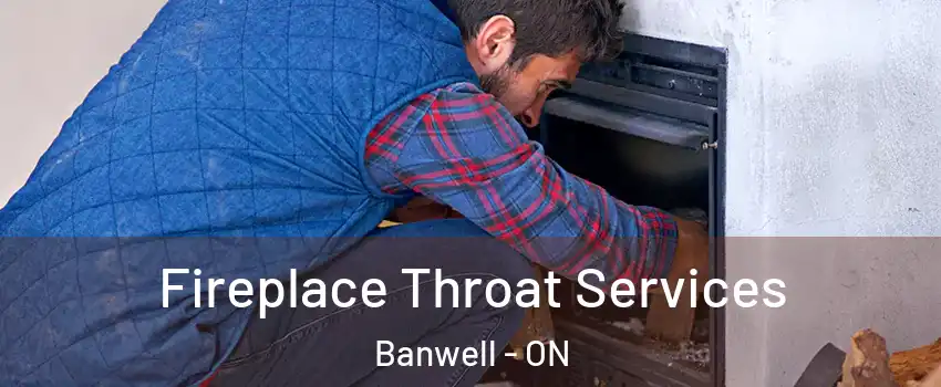  Fireplace Throat Services Banwell - ON