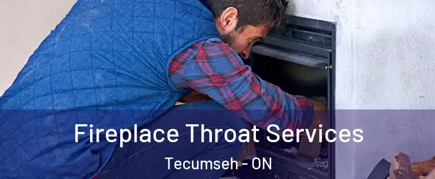  Fireplace Throat Services Tecumseh - ON