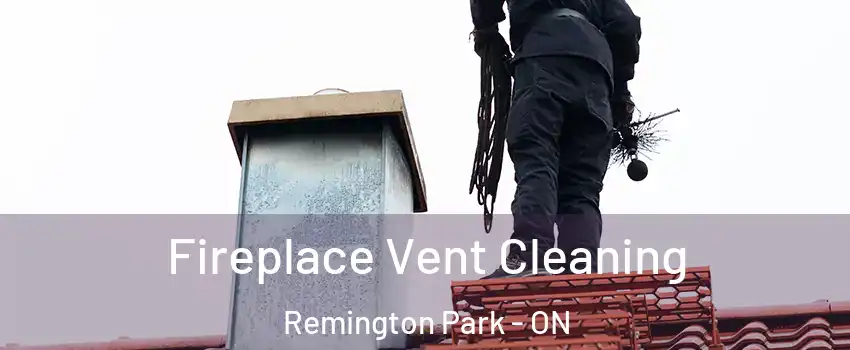  Fireplace Vent Cleaning Remington Park - ON