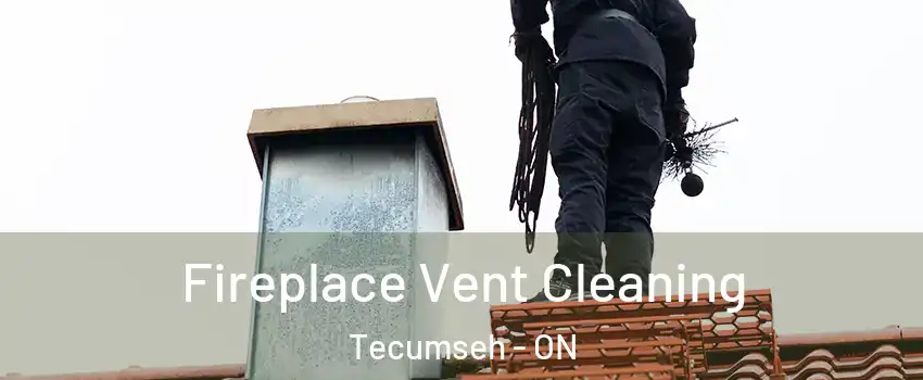  Fireplace Vent Cleaning Tecumseh - ON