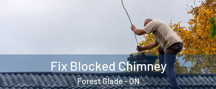  Fix Blocked Chimney Forest Glade - ON
