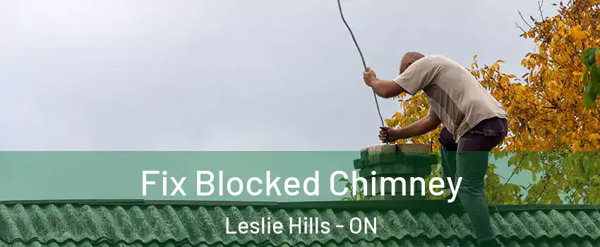  Fix Blocked Chimney Leslie Hills - ON