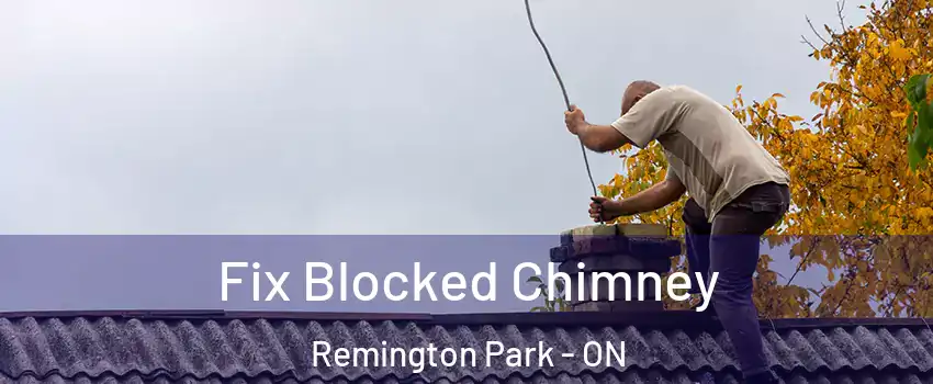  Fix Blocked Chimney Remington Park - ON