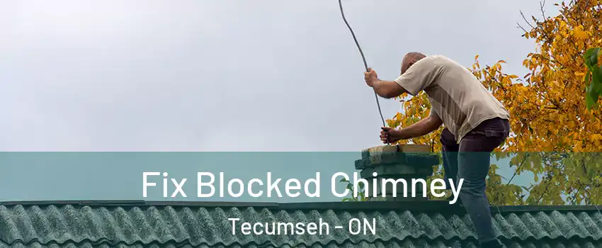  Fix Blocked Chimney Tecumseh - ON