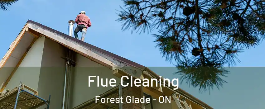  Flue Cleaning Forest Glade - ON
