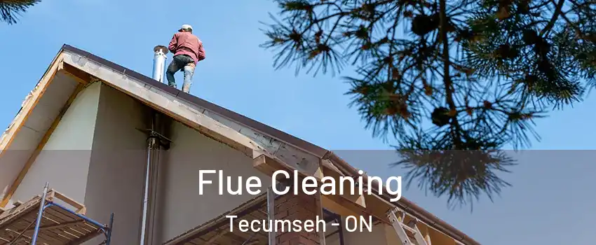  Flue Cleaning Tecumseh - ON