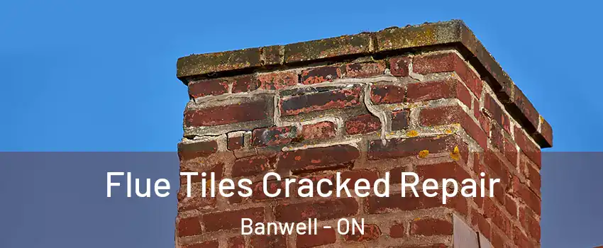  Flue Tiles Cracked Repair Banwell - ON