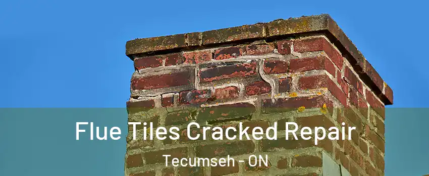  Flue Tiles Cracked Repair Tecumseh - ON