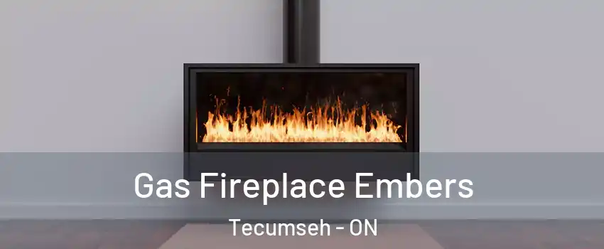  Gas Fireplace Embers Tecumseh - ON