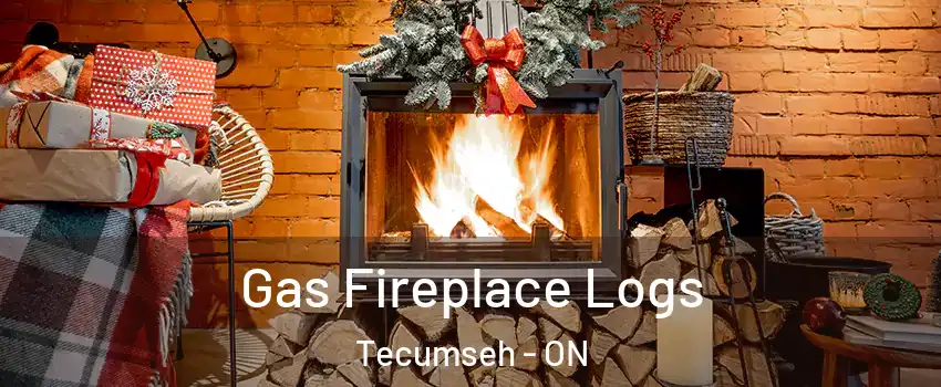  Gas Fireplace Logs Tecumseh - ON