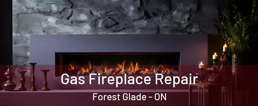  Gas Fireplace Repair Forest Glade - ON