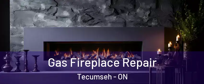  Gas Fireplace Repair Tecumseh - ON
