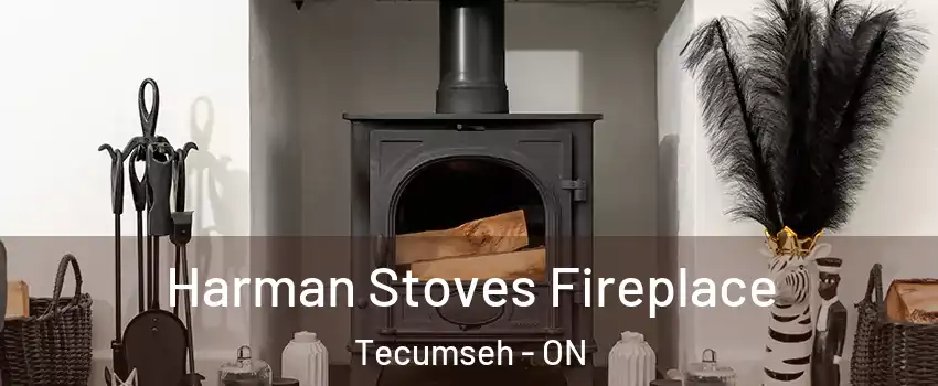 Harman Stoves Fireplace Tecumseh - ON