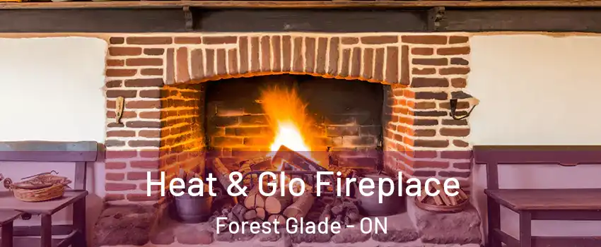  Heat & Glo Fireplace Forest Glade - ON