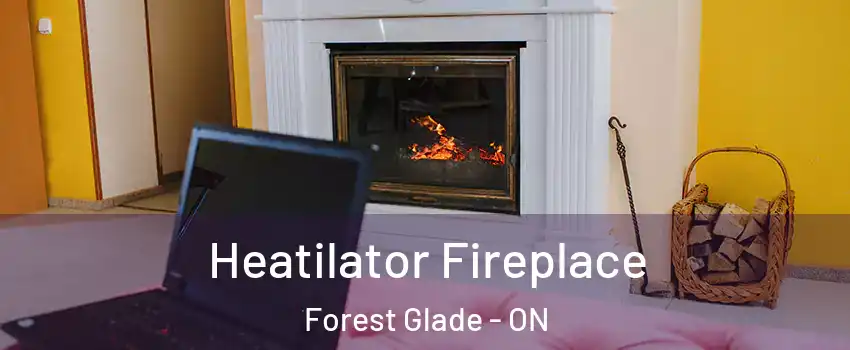  Heatilator Fireplace Forest Glade - ON